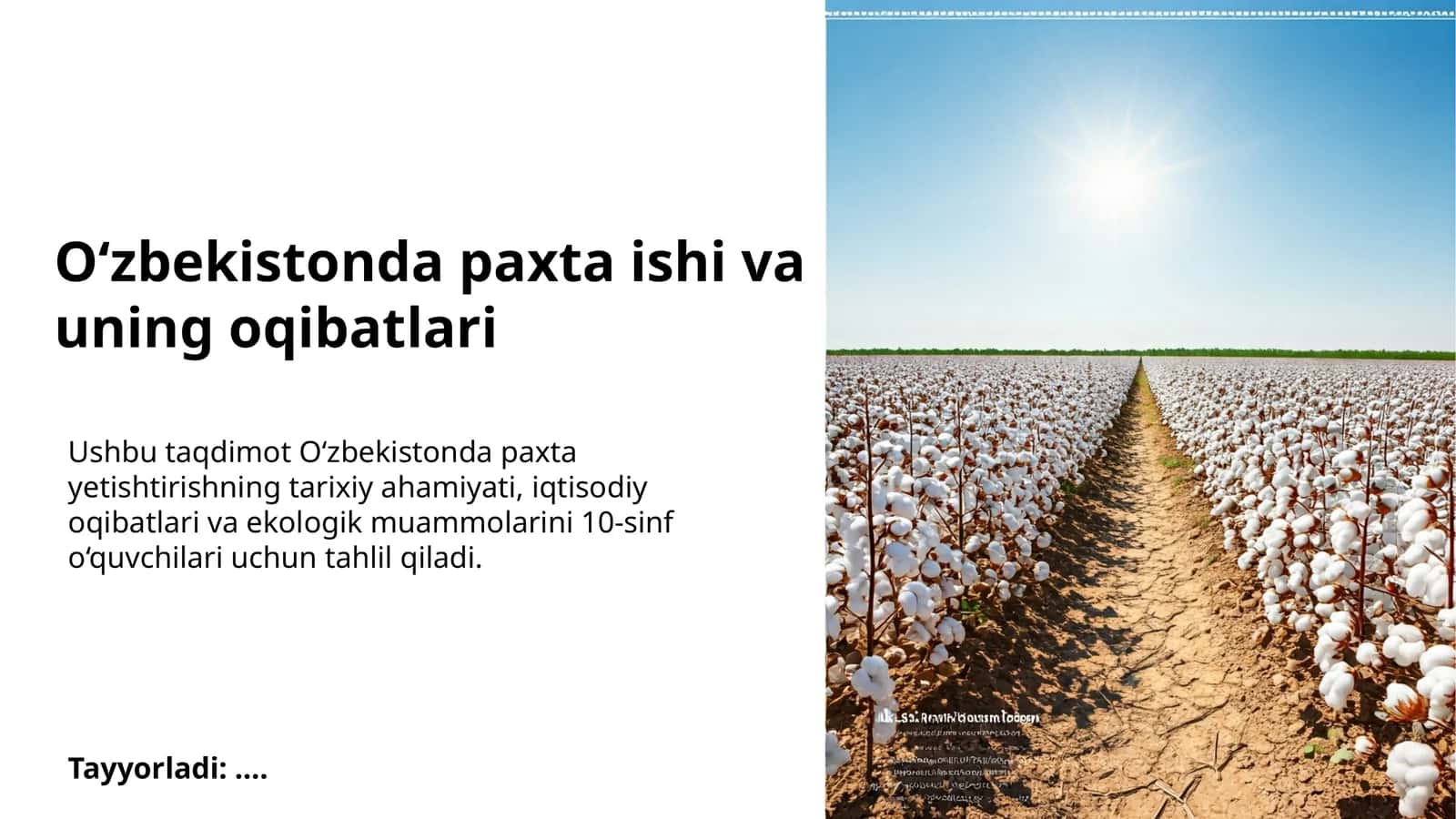 O‘zbekistonda paxta ishi va uning oqibatlari