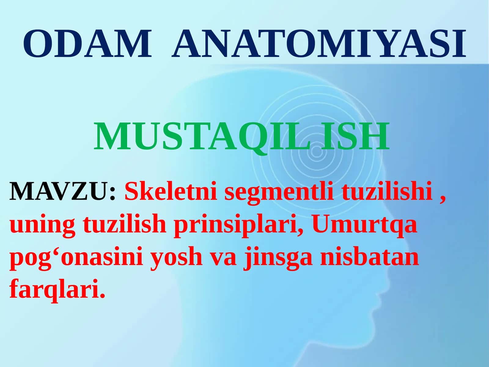 ODAM ANATOMIYASI