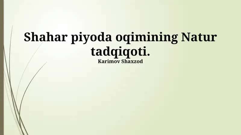 Shahar piyoda oqimining Natur tadqiqoti