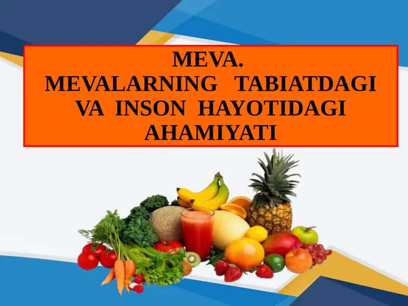 MEVA.MEVALARNING TABIATDAGI VA INSON HAYOTIDAGI AHAMIYATI