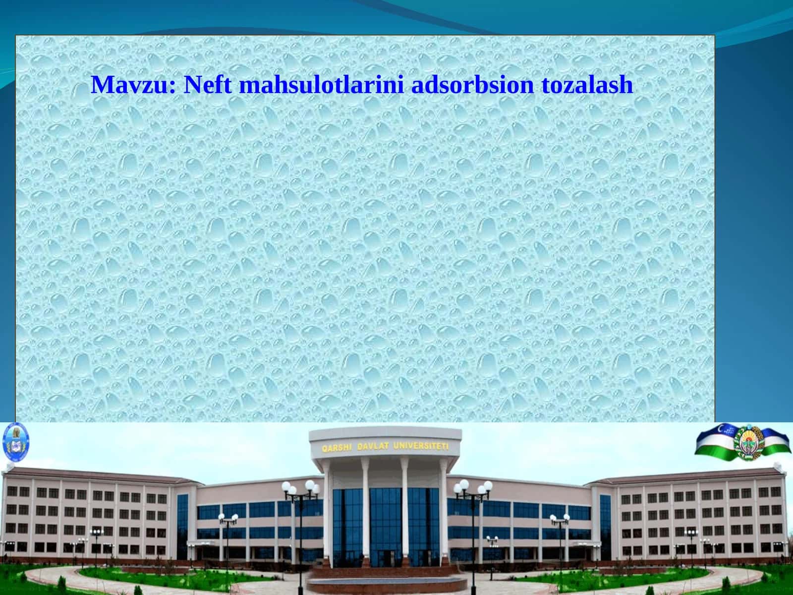 Neft mahsulotlarini adsorbsion tozalash