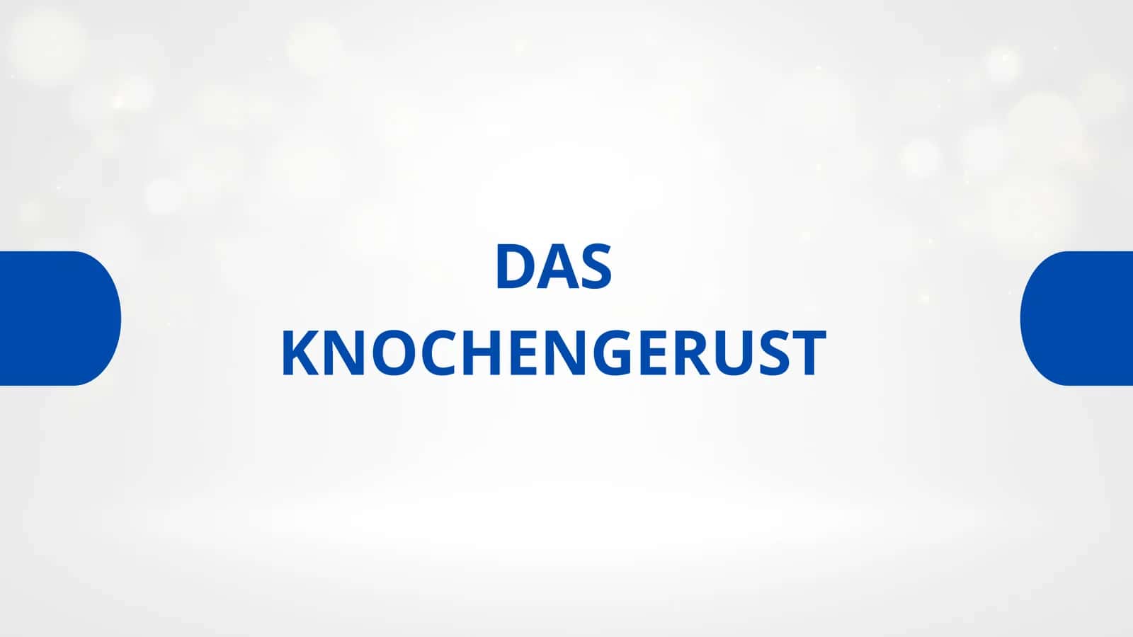 DAS KNOCHENGERUST