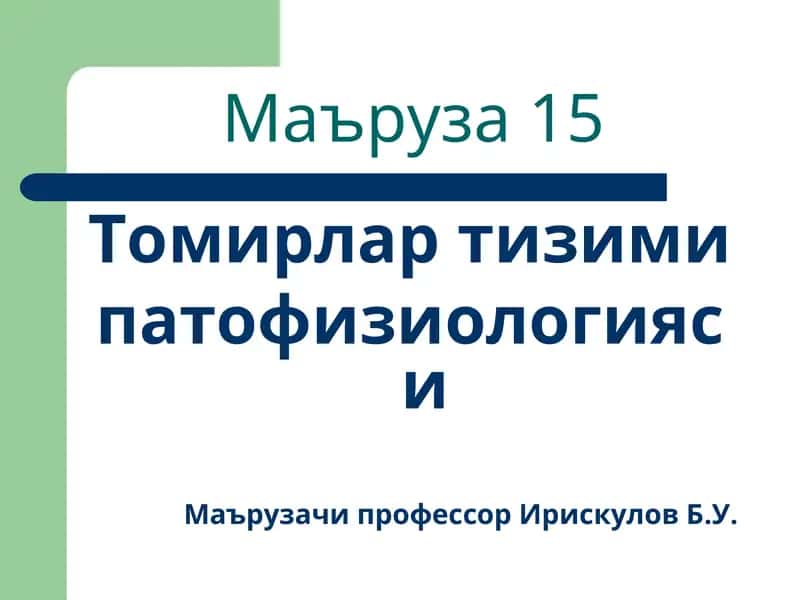 Маъруза15