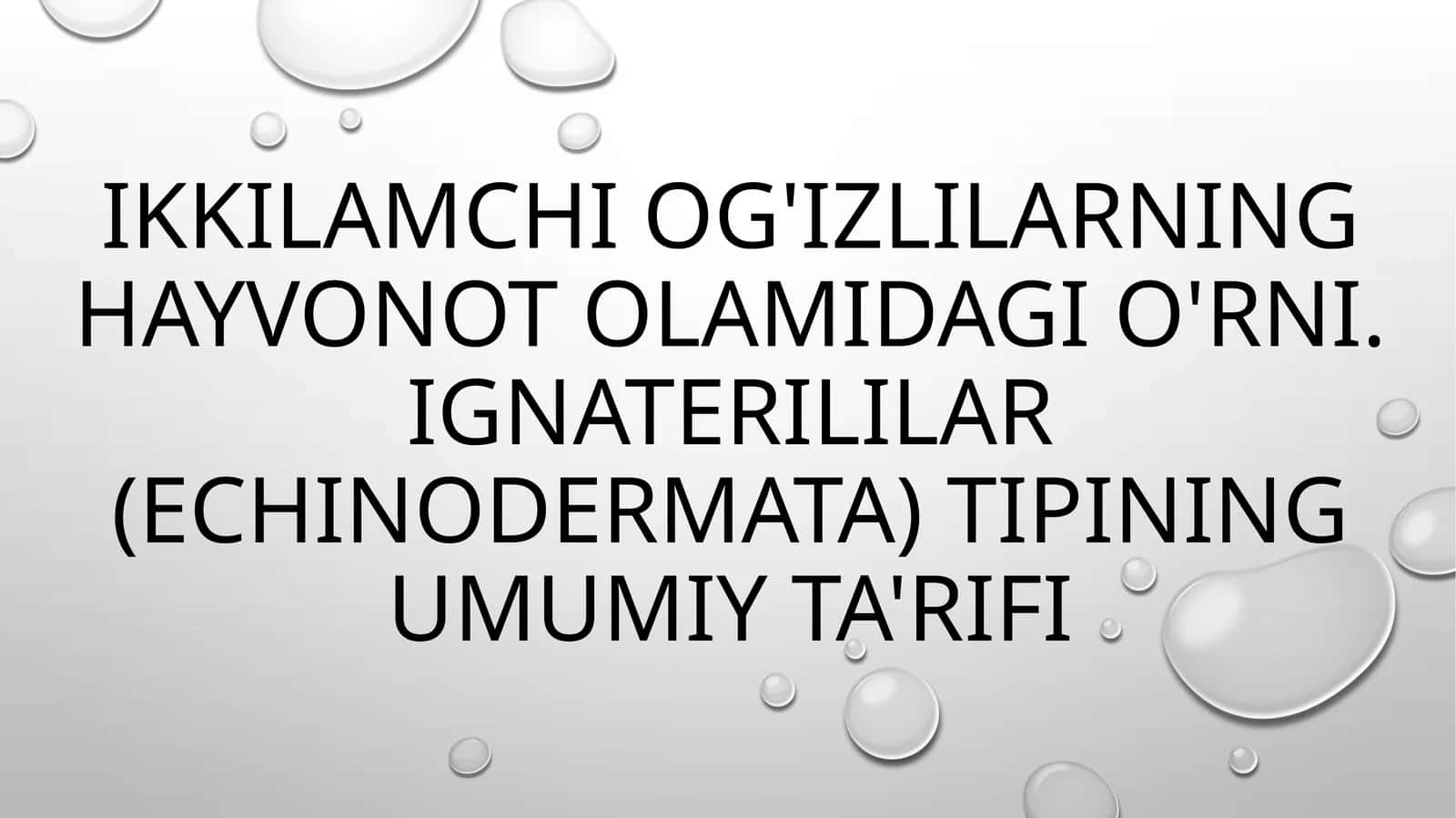 Ikkilamchi og'izlilarning hayvonot olamidagi o'rni. Ignaterililar (Echinodermata) tipining umumiy ta'rifi