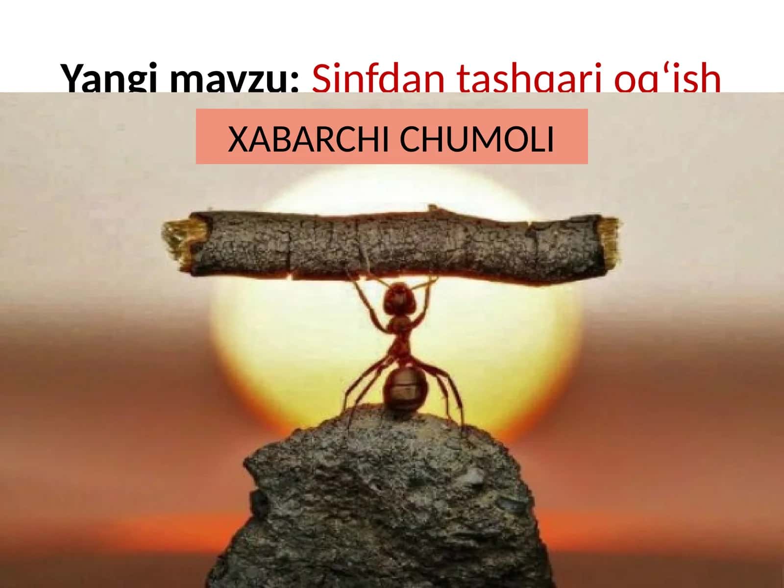 Yangimavzu: Sinfdantashqarioq‘ish