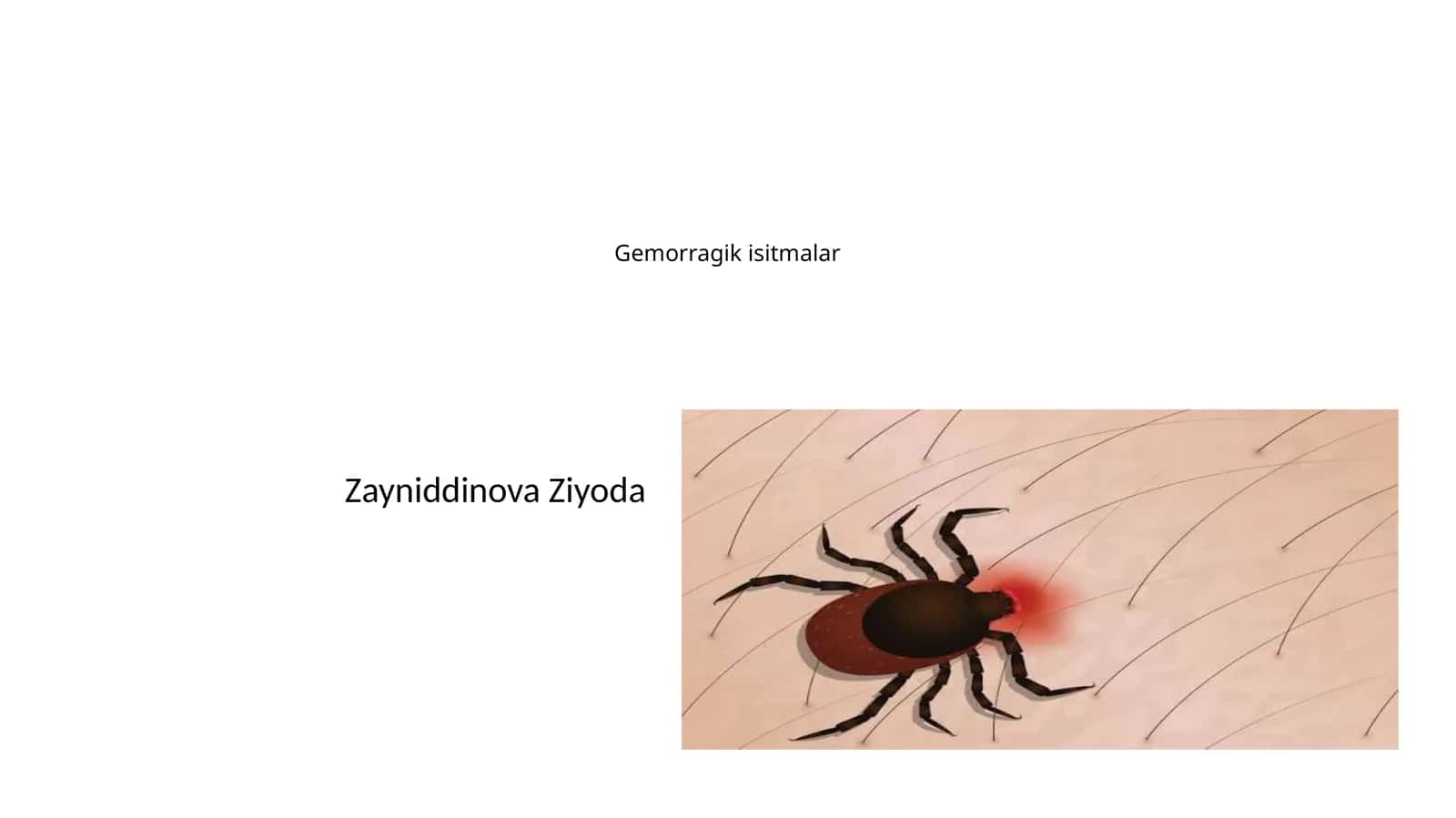 Gemorragik isitmalar