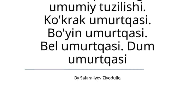 Umurtqalarning umumiy tuzilishi