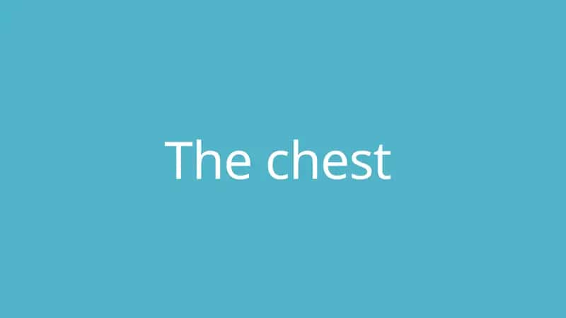 The chest