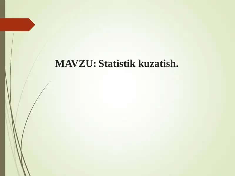 Statistikkuzatish