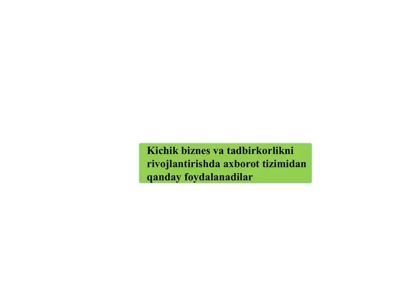 Kichik biznes va tadbirkorlikni rivojlantirishda axborot tizimidan qanday foydalanadilar