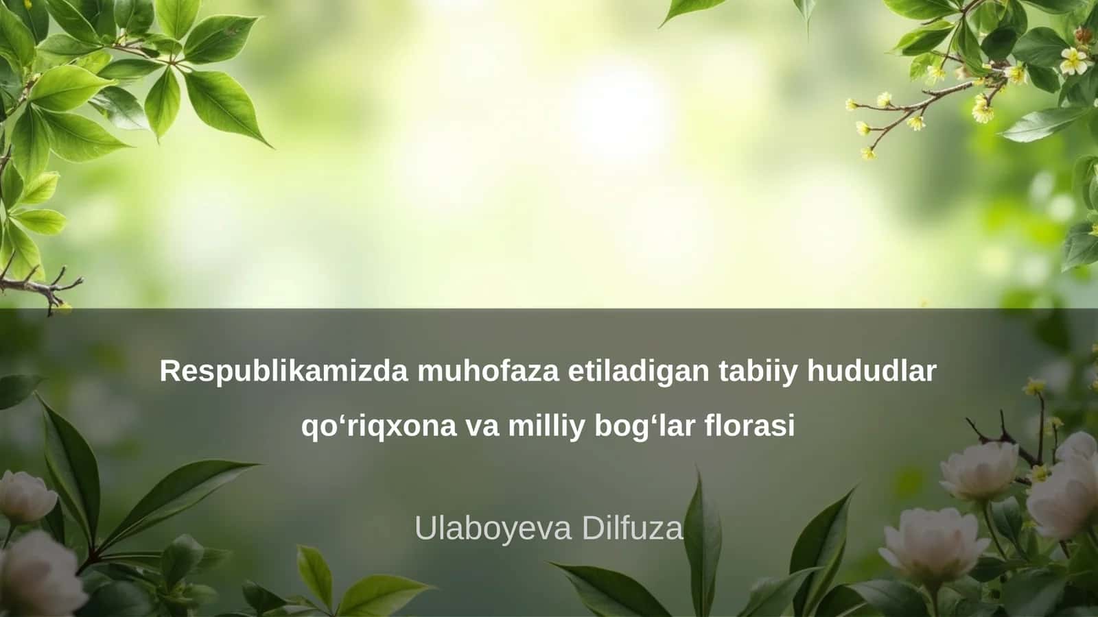 Respublikamizda muhofaza etiladigan tabiiy hududlar qo‘riqxona va milliy bog‘lar florasi