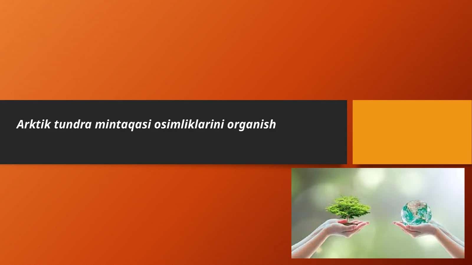 Arktik Tundra mintaqasi oʻsimliklarini organish
