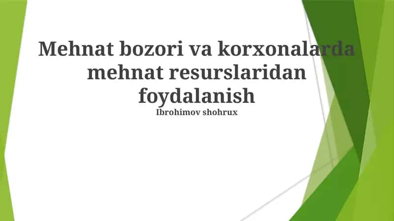 Mehnat Bozori va Korxonalarda Mehnat Resurslaridan Foydalanish