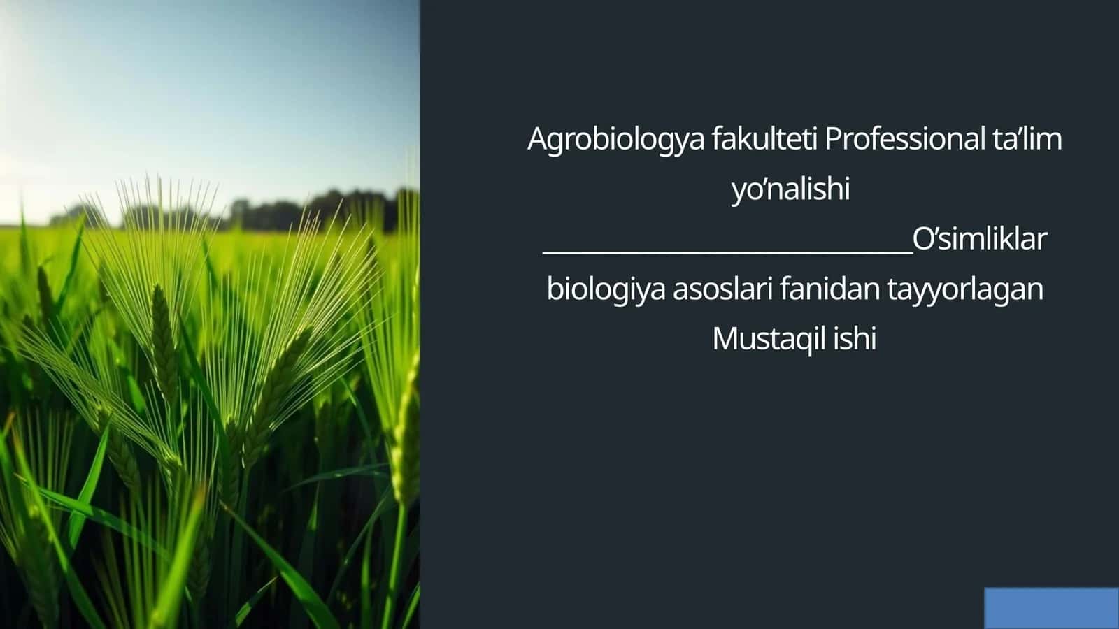 Yil davomida  ozuqabop ekinlaryetishtirishning  biologik asoslari