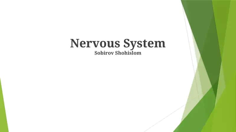 Nervous System