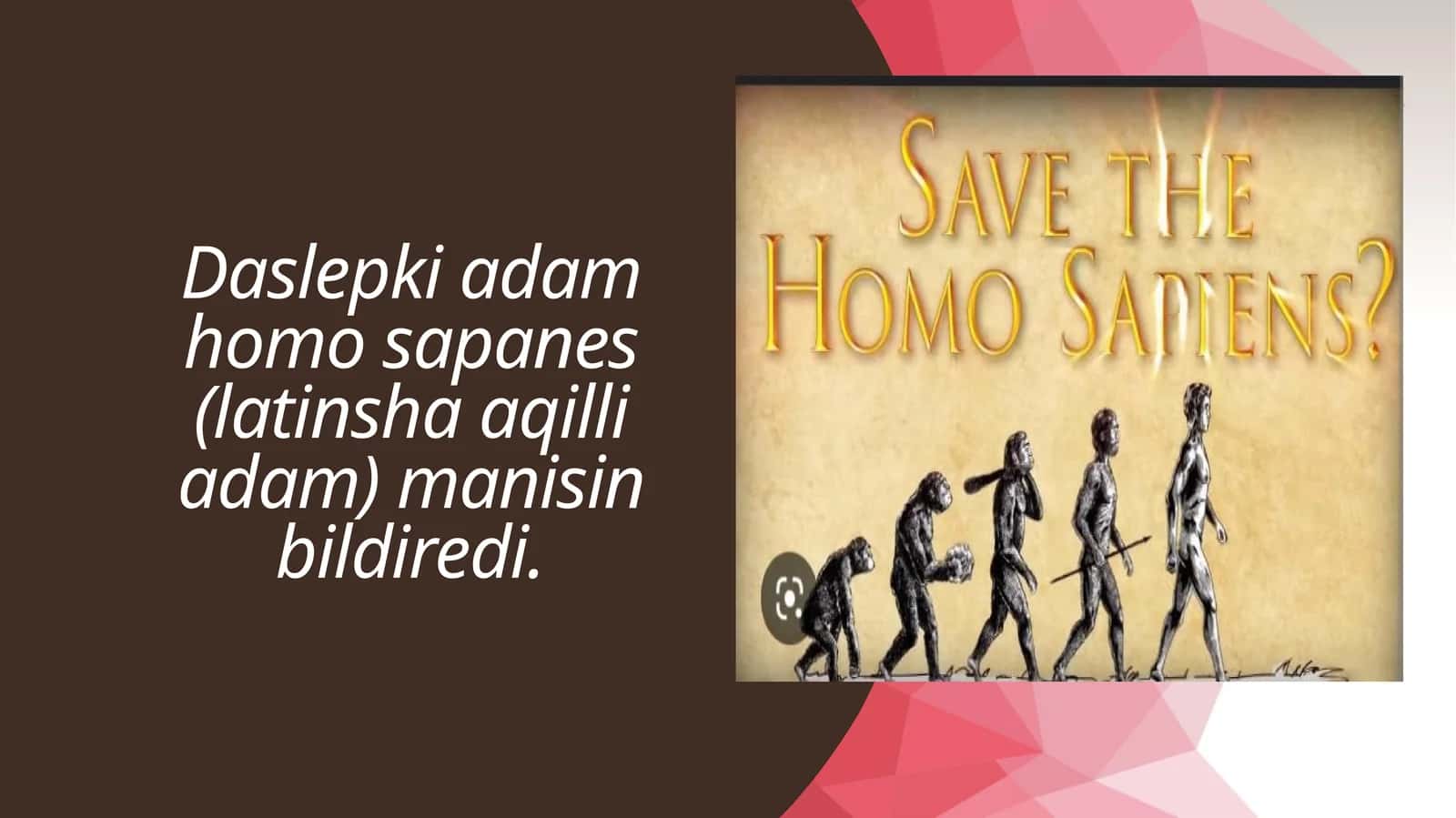 Homo sapanes