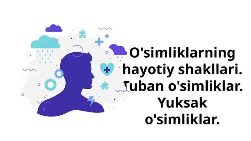 O'simliklarning hayotiy shakllari