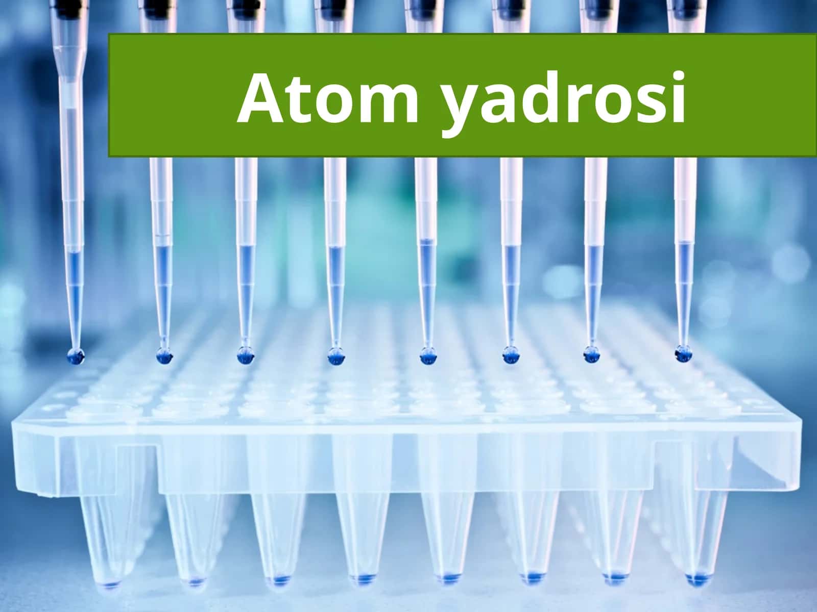 Atom yadrosi