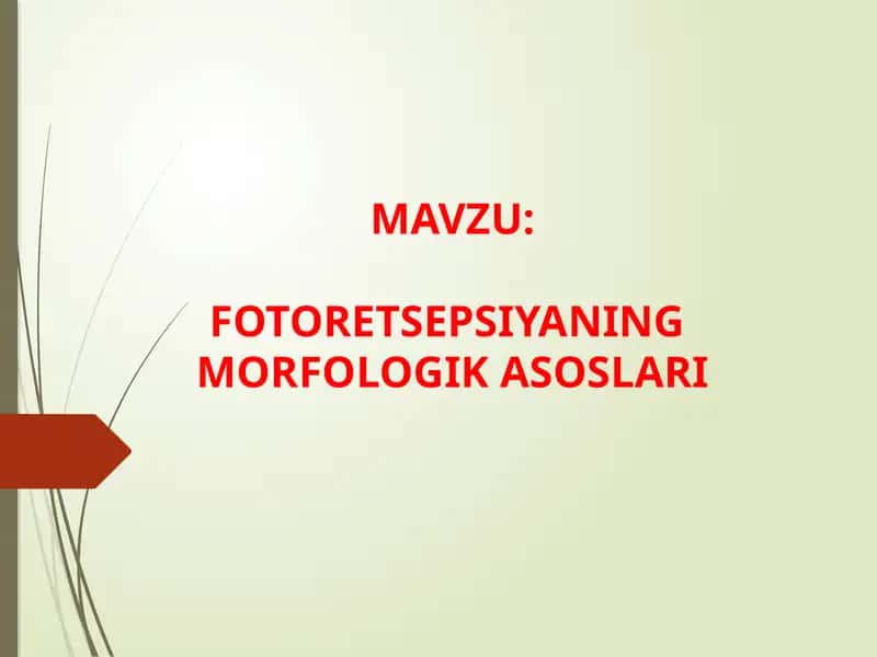 FOTORETSEPSIYANING  MORFOLOGIK ASOSLARI