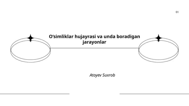 O‘simliklar hujayrasi va unda boradigan jarayonlar