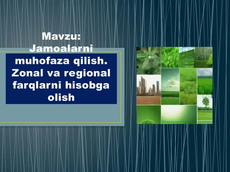 Jamoalarni muhofaza qilish. Zonal va regional farqlarni hisobga olish