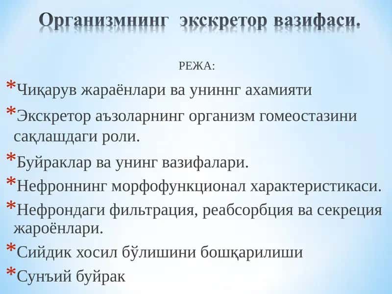 Чиқарув жараёнлари ва униннг ахамияти