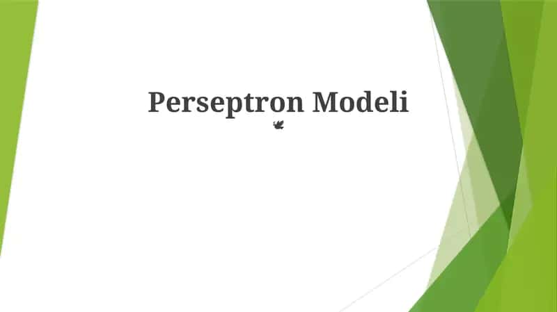 Perseptron Modeli