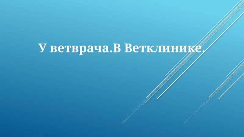Уветврача.ВВетклинике.