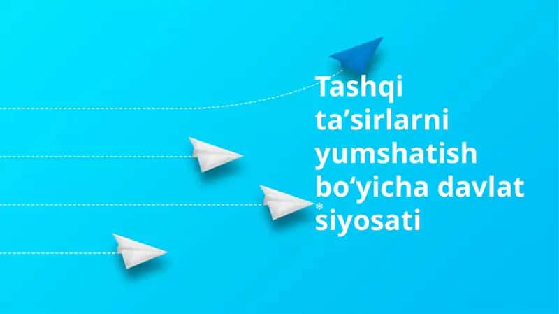 Tashqi ta'sirlarni yumshatish boʻyicha davlat siyosati