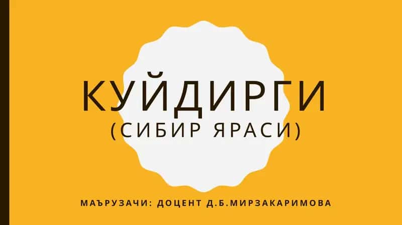 Куйдирги(сибиряраси)