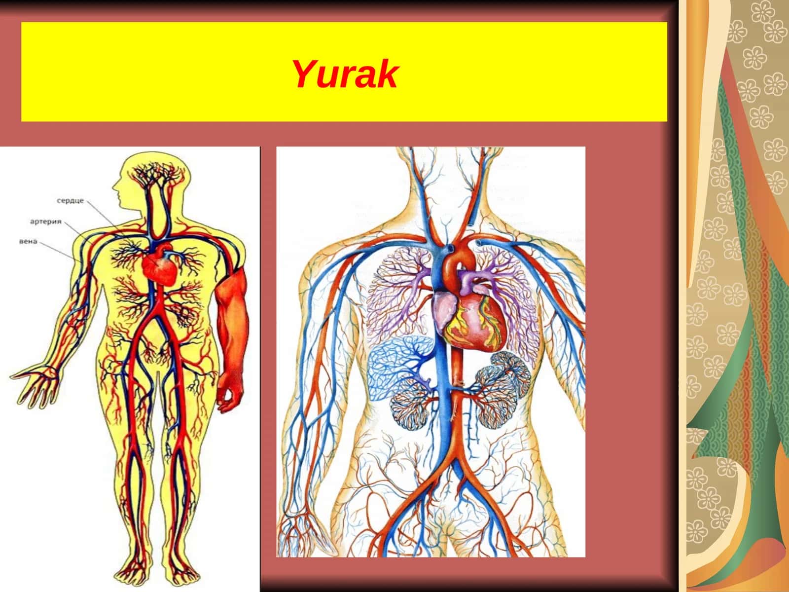 Yurak