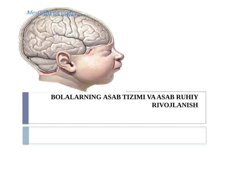 BOLALARNING ASAB TIZIMI VA ASAB RUHIY RIVOJLANISH