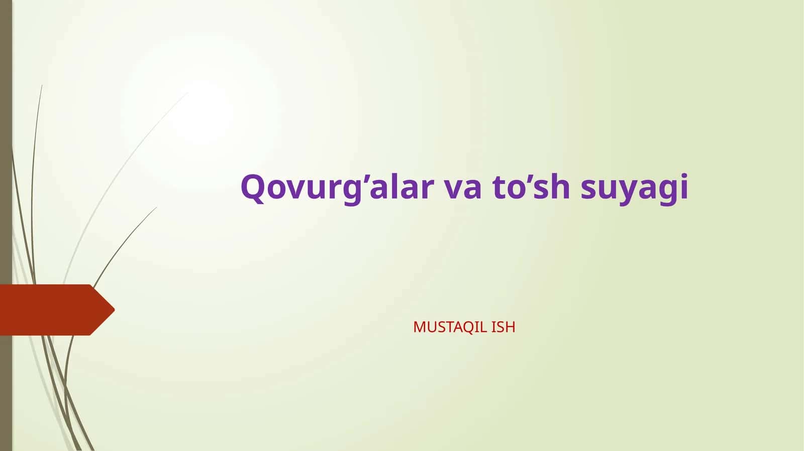 Qovurg’alar va to’sh suyagi