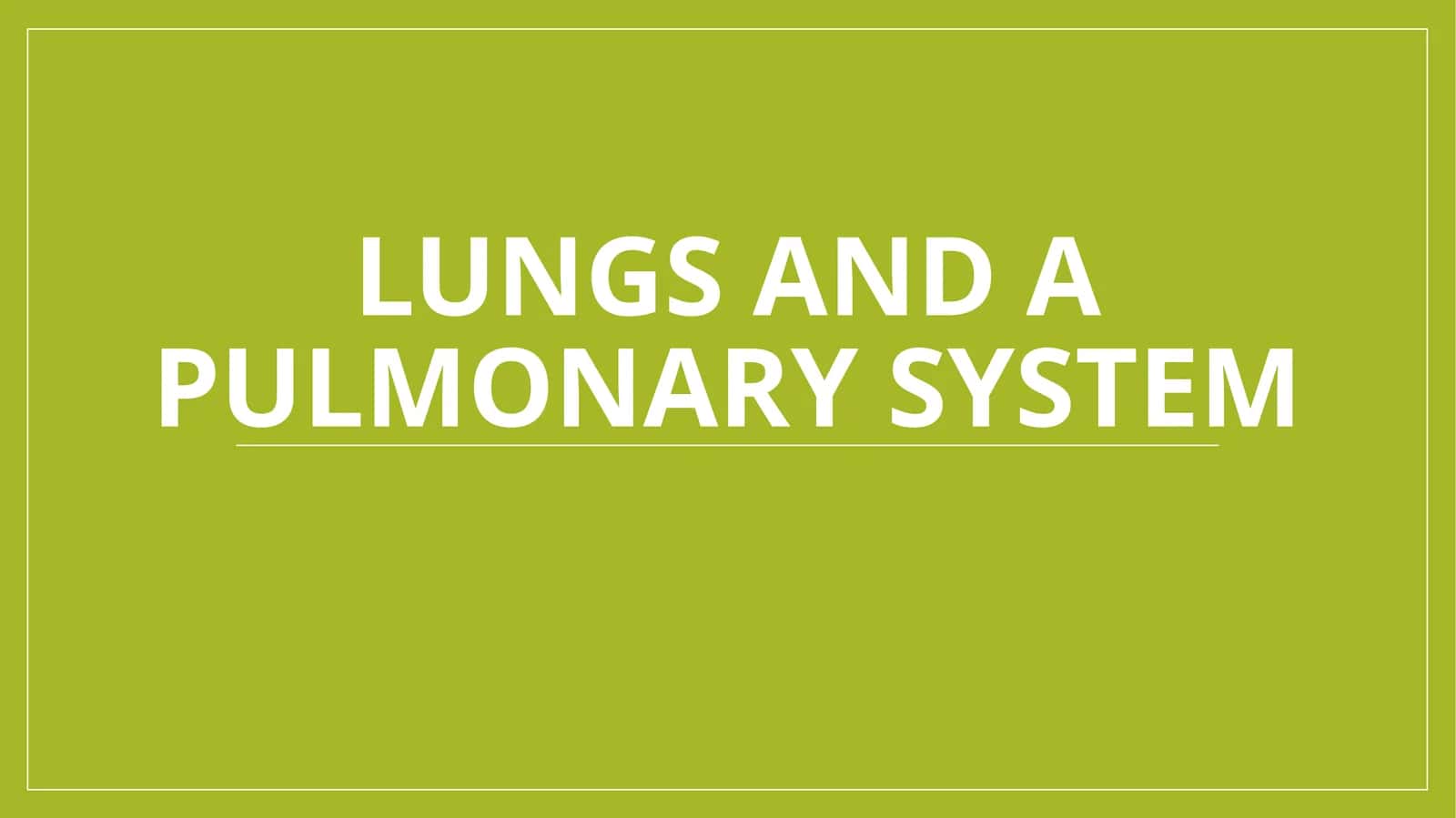 Lungs and a pulmonary system