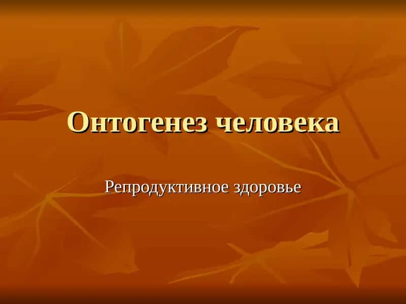 Онтогенез человека