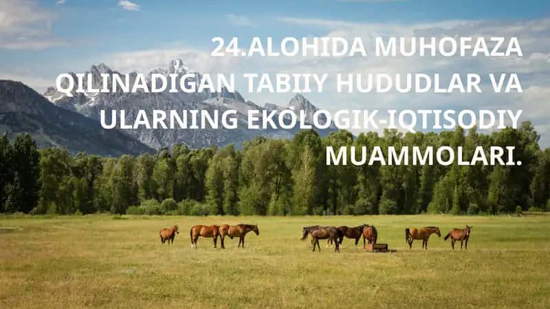 ALOHIDA MUHOFAZA QILINADIGAN TABIIY HUDUDLAR VA ULARNING EKOLOGIK-IQTISODIY MUAMMOLARI