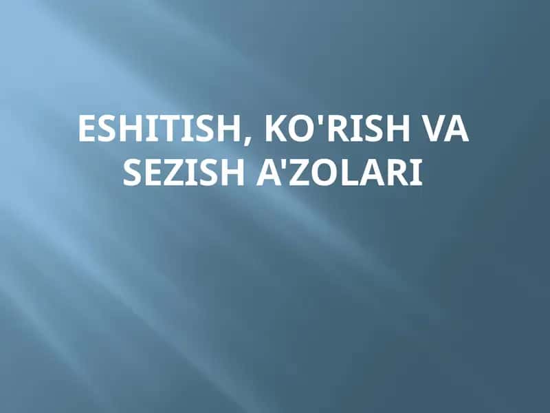 Sensor Tizimining Tekshirish Usullari