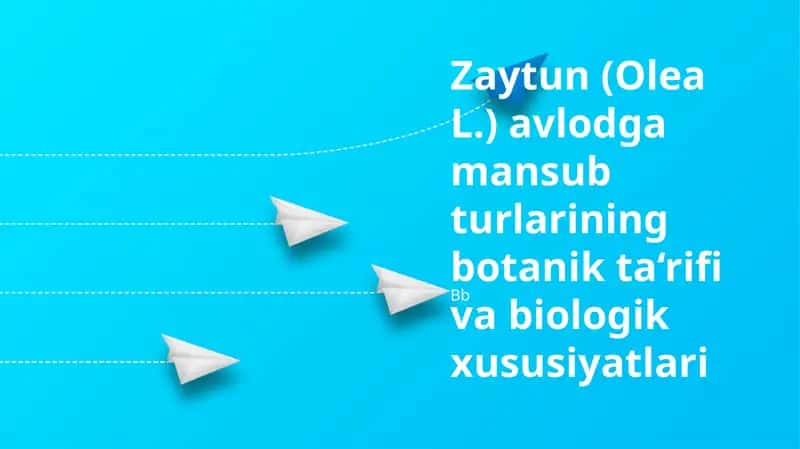 Zaytun (Olea L.)