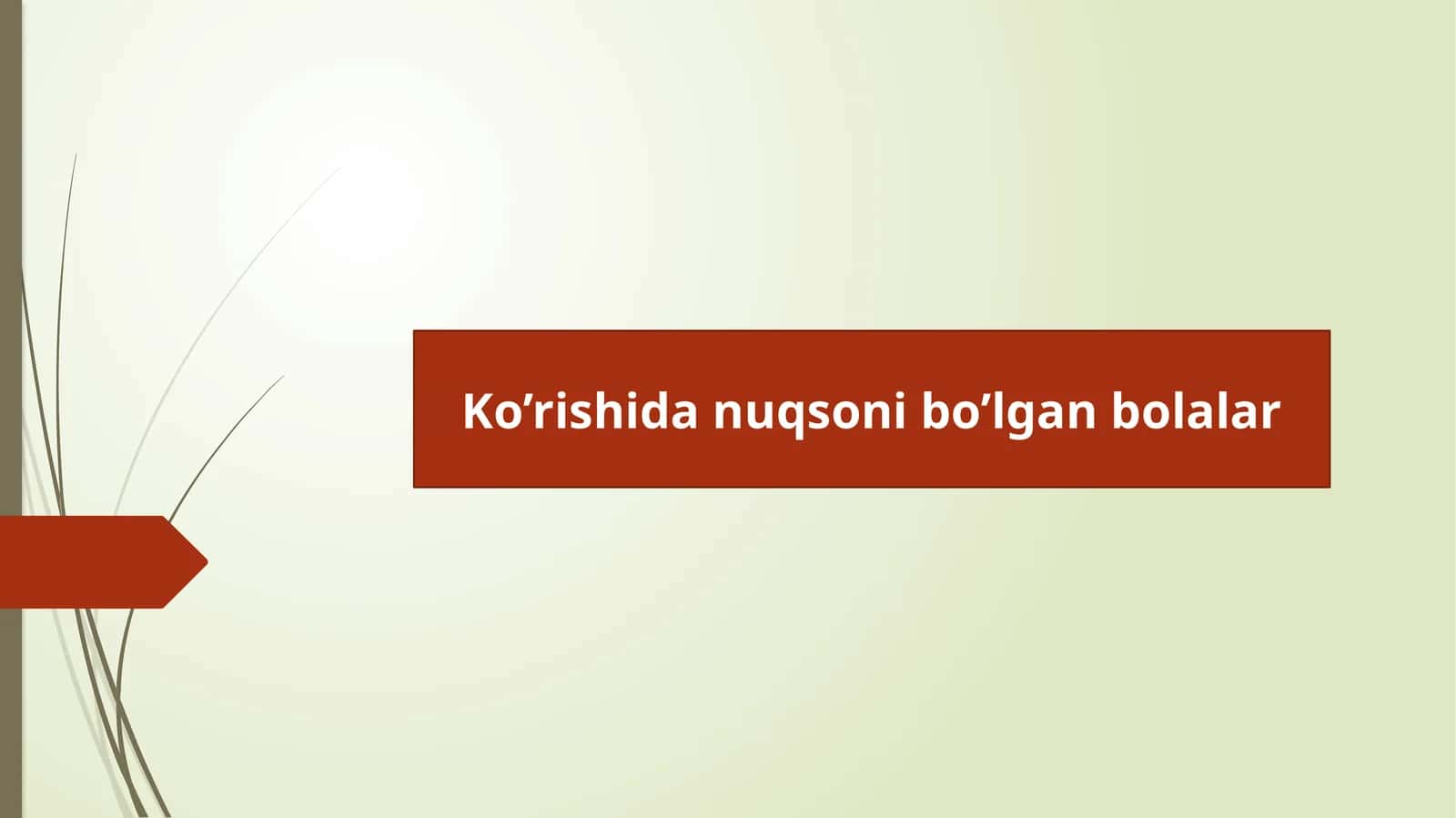 Ko’rishida nuqsoni bo’lgan bolalar