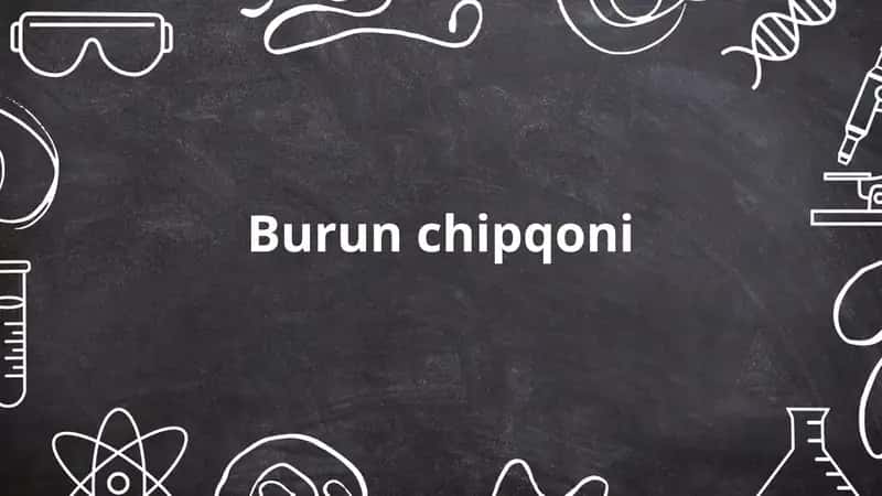 Burun chipqoni