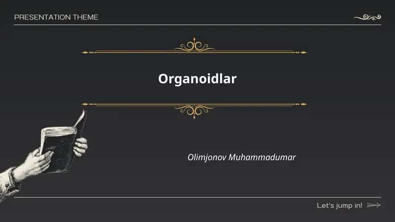 Organoidlar