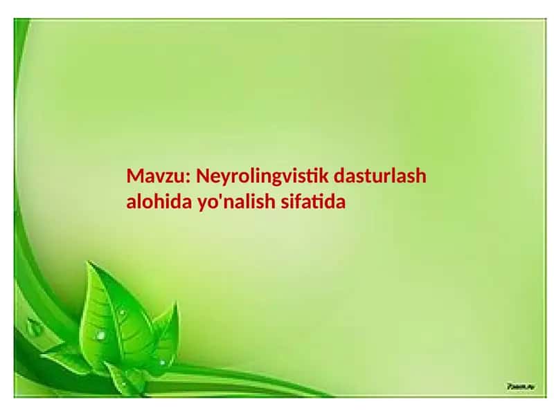 Neyrolingvistik dasturlash alohida yo'nalish sifatida
