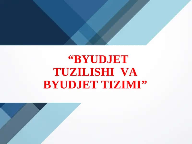 BYUDJETTUZILISHIVABYUDJETTIZIMI