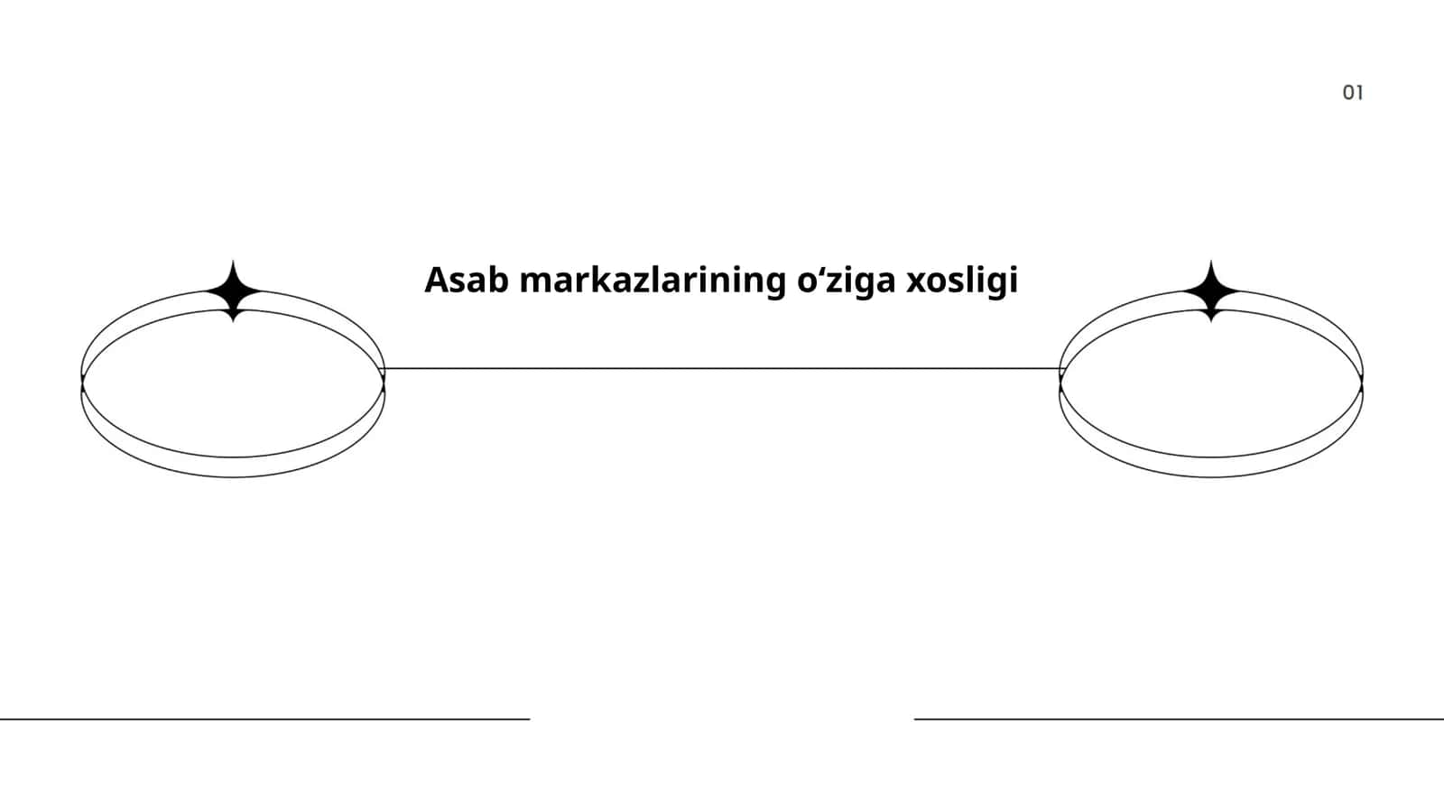 Asab markazlarining oʻziga xosligi