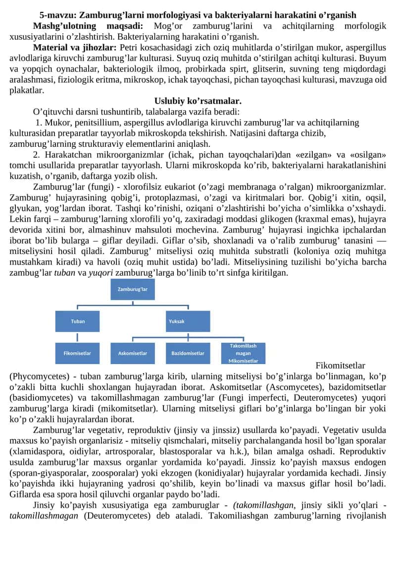 Zamburug’larni morfologiyasi va bakteriyalarni harakatini o’rganish