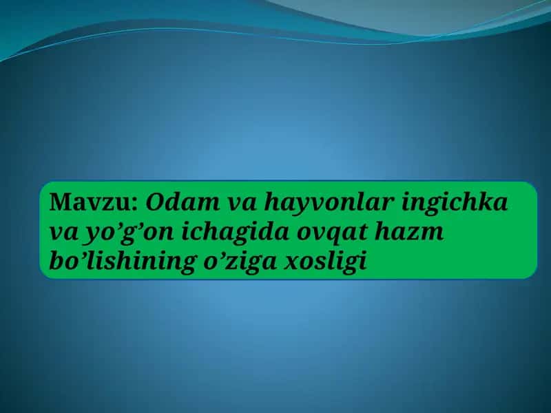 Odam va hayvonlar ingichka va yo’g’on ichagida ovqat hazm bo’lishining o’ziga xosligi