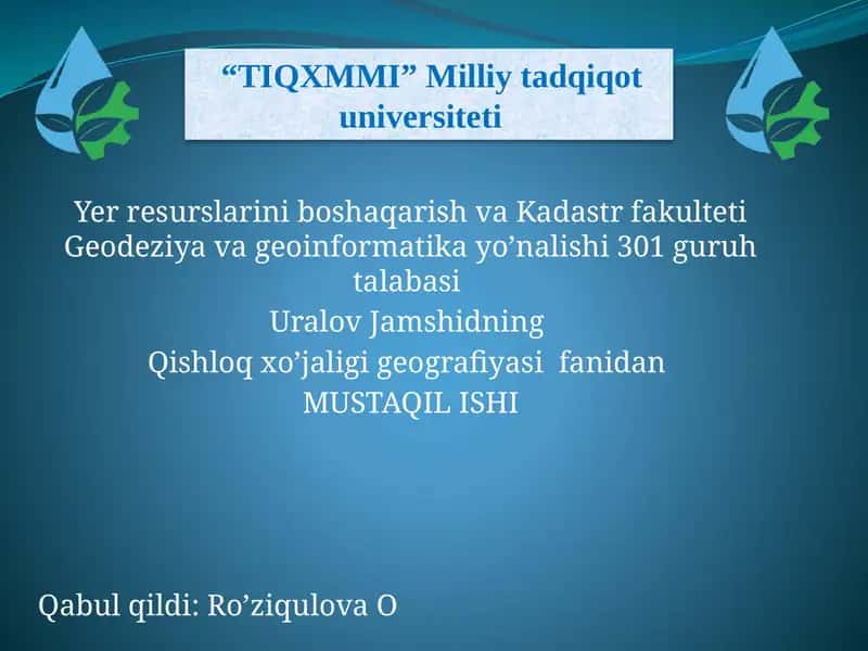 Hududlarni ixtisoslashuvi
