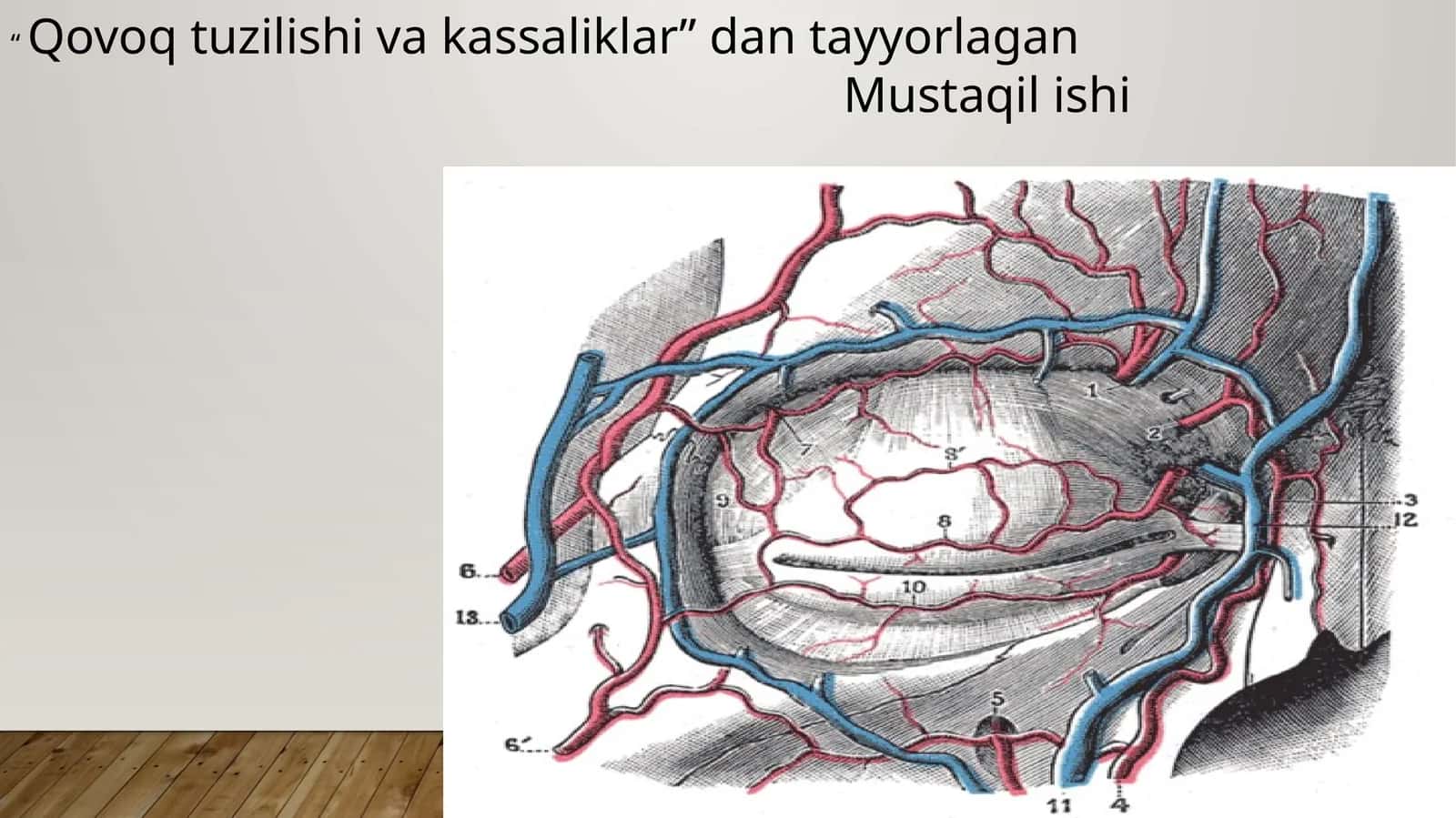 Qovoq tuzilishi va kassaliklar