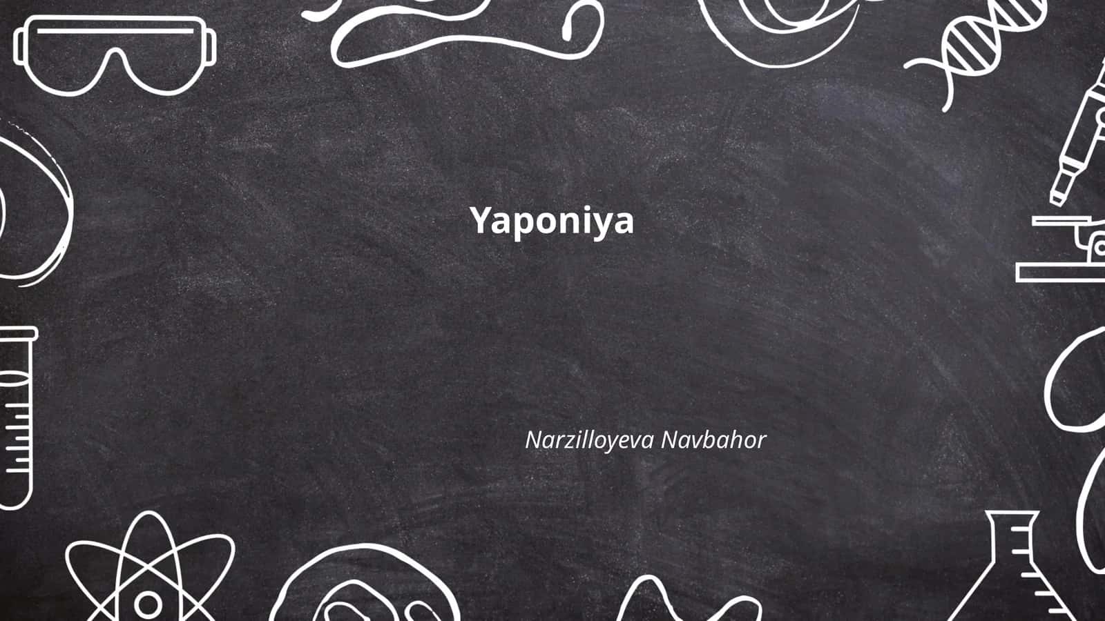 Yaponiya tarixi