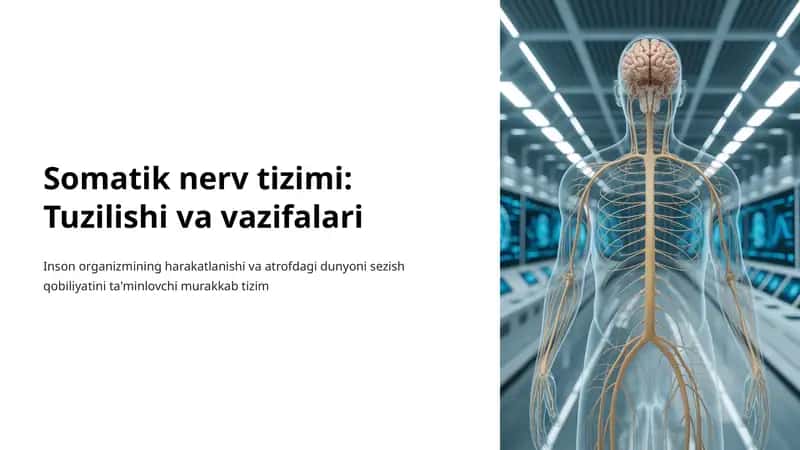 Somatik nerv tizimi